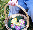 Easter Egg Hunt 2013